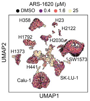 The GENEVA platform models tumor mosaicism to reveal variations of responses to KRAS inhibitors and identify improved drug combinations