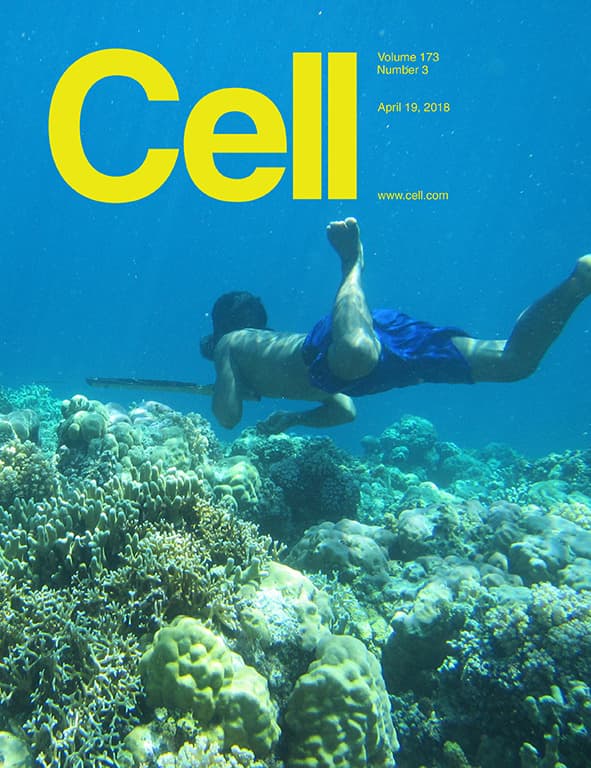 Transcriptome Engineering with RNA-Targeting Type VI-D CRISPR Effectors