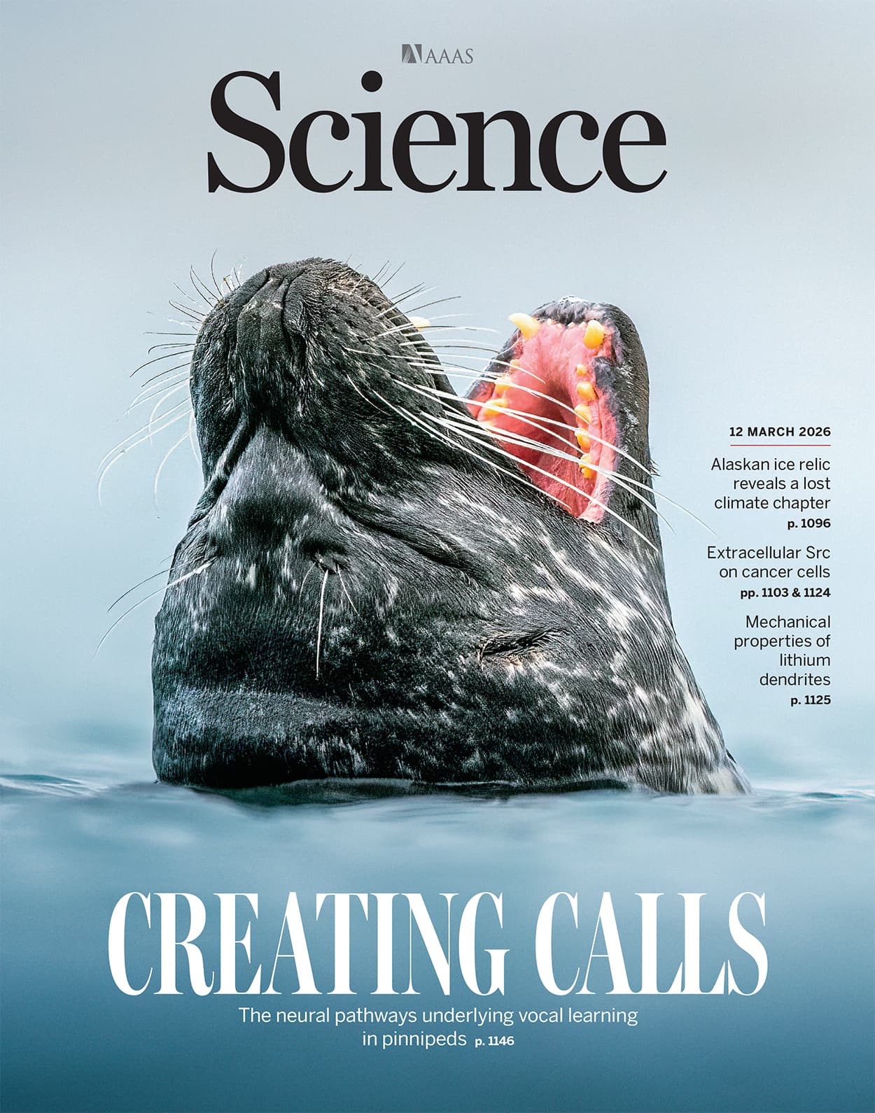 Megabase-scale human genome rearrangement with programmable bridge recombinases