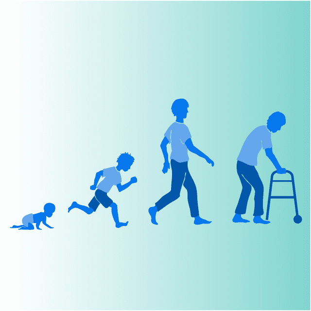 The biology of aging